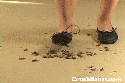 cricket crush fetish|crush fetish butterfly Porn Pics and XXX Videos